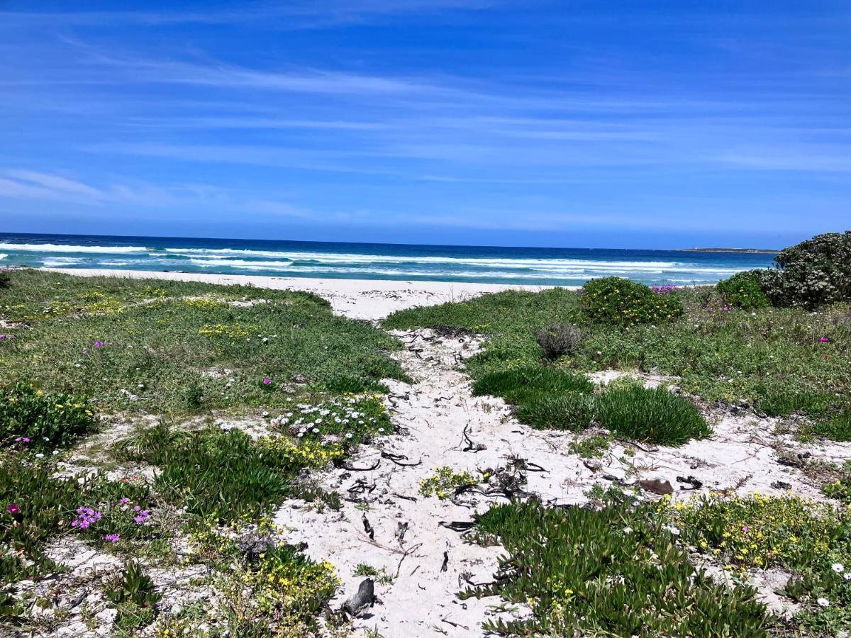 Silverdunes - Seaview Betty's Bay Eksteriør billede