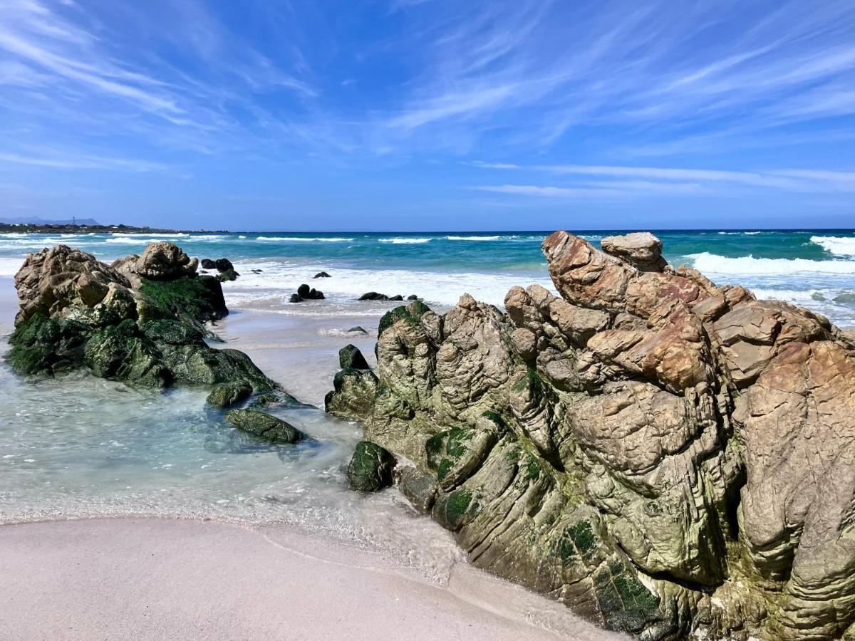 Silverdunes - Seaview Betty's Bay Eksteriør billede